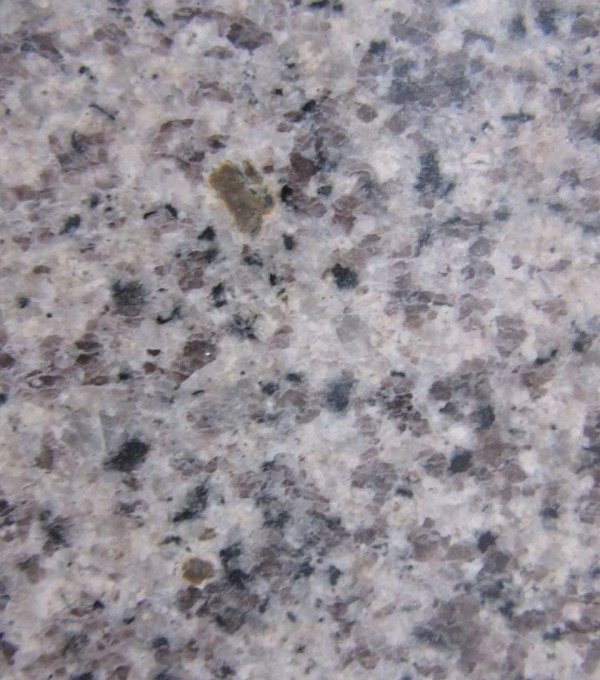 Blanco Sardo Chino